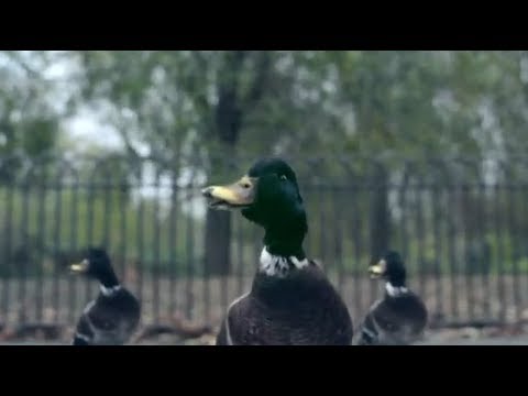 (Video): Bingo Players – Get Up feat. Far East&nbsp;Movement