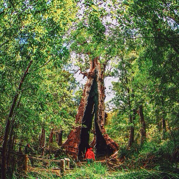 Best Instagram Photos of the Week&nbsp;10.11.13