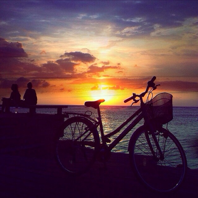 THE Best Instagram Photos of the Week&nbsp;12.20.13