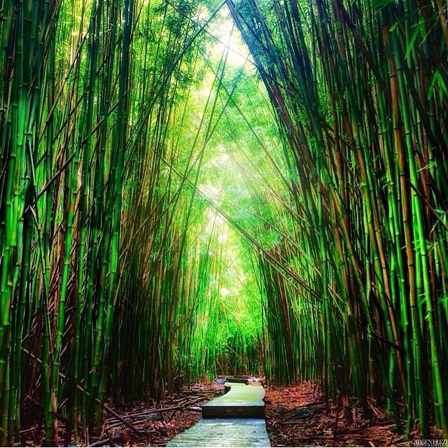 THE Best Instagram Photos of the Week&nbsp;12.27.13