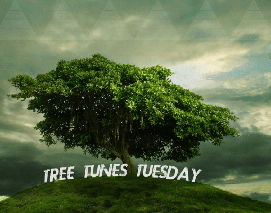 #TreeTunesTuesday 1.21.14