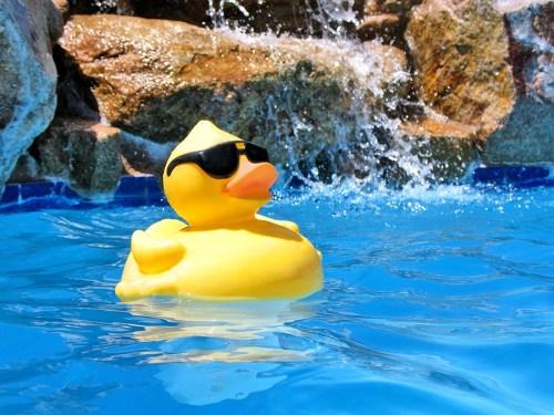 RubberDuckyPoolParty-2537