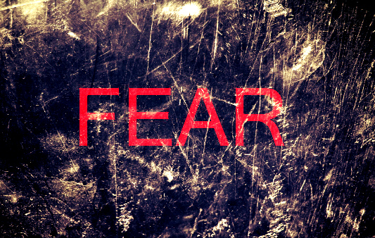 Cultivated Inc. |Why People are Afraid to&nbsp;StartUp