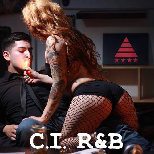 Cultivated R&B Vol. 16 (What is&nbsp;RnBASS?)