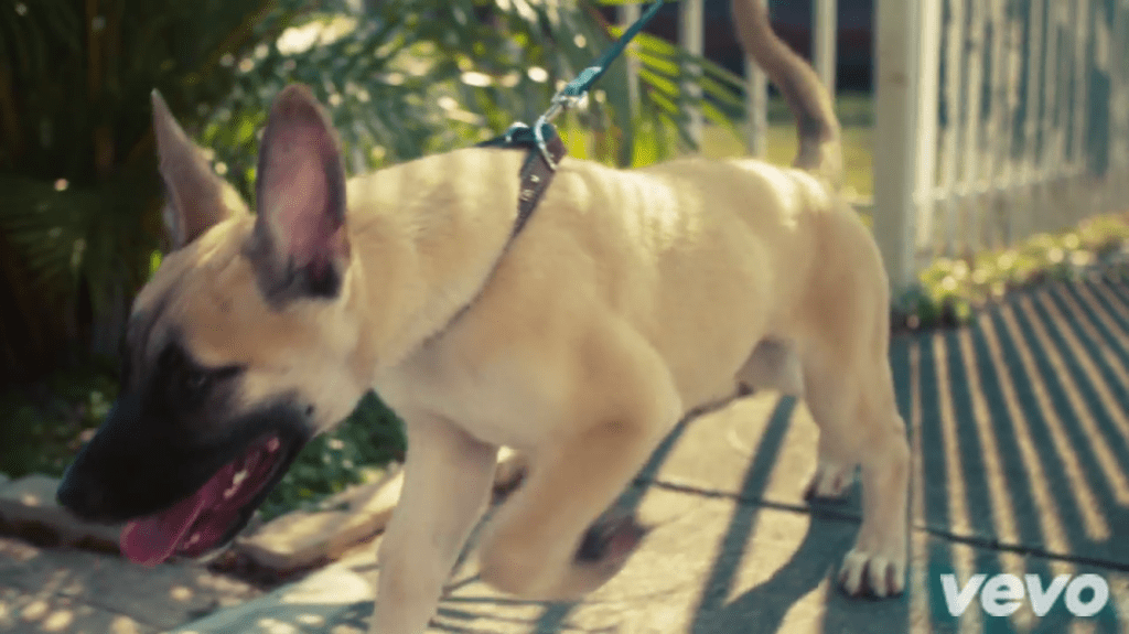 J. Cole – Wet Dreamz&nbsp;(Video)