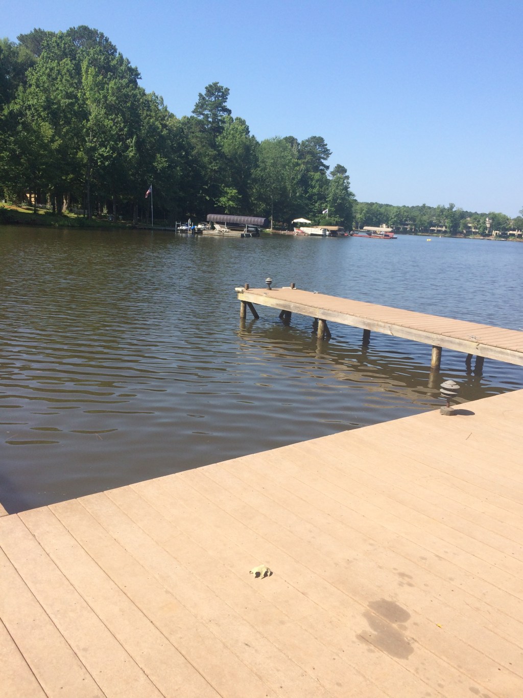 You’re Alive: Live Like It